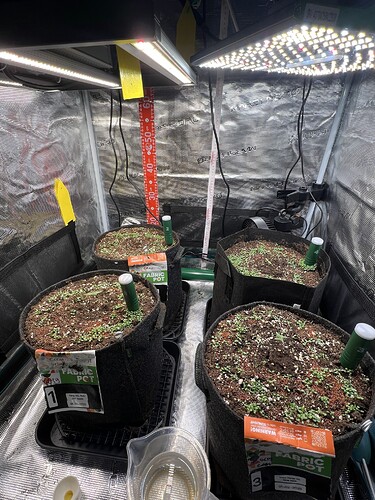 Growreport Bild 8