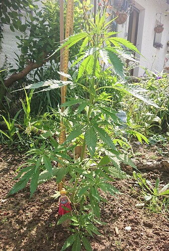 Growreport Bild 10