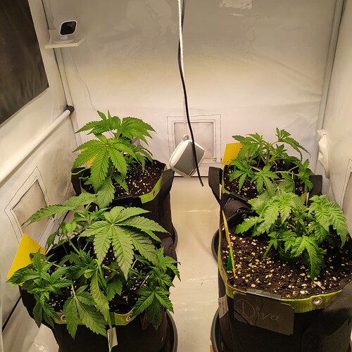Growreport Bild 12