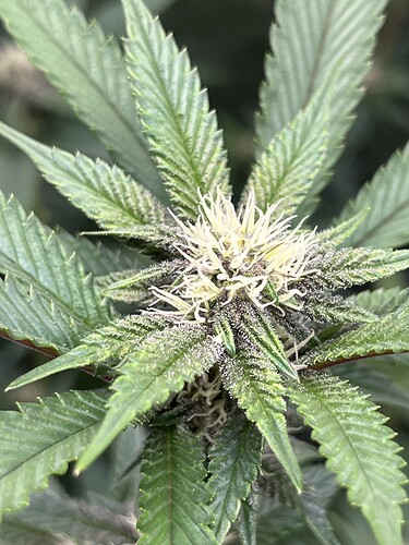Growreport Bild 14