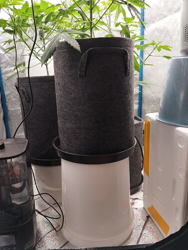 Growreport Bild 15