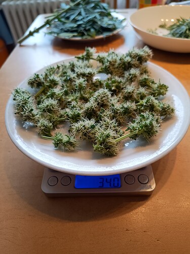 Growreport Bild 22