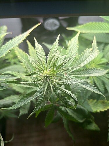 Growreport Bild 2