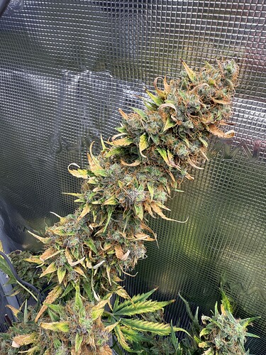 Growreport Bild 16