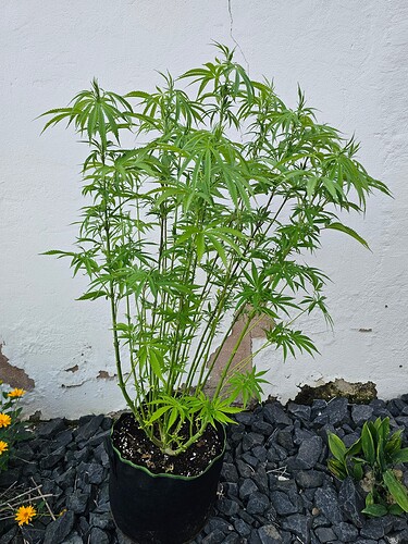 Growreport Bild 10