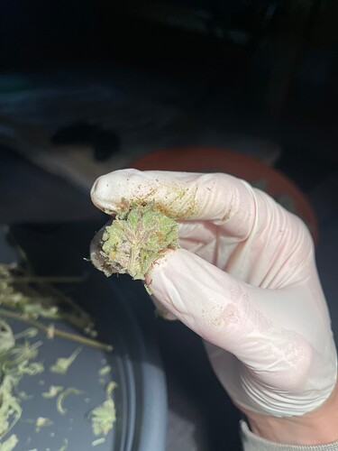 Growreport Bild 4