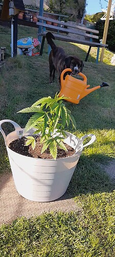 VideoCapture_20250510-180407