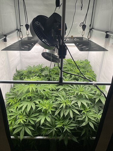 Growreport Bild 1