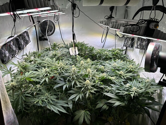 Growreport Bild 55
