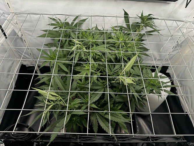 20240513_140722688_iOS