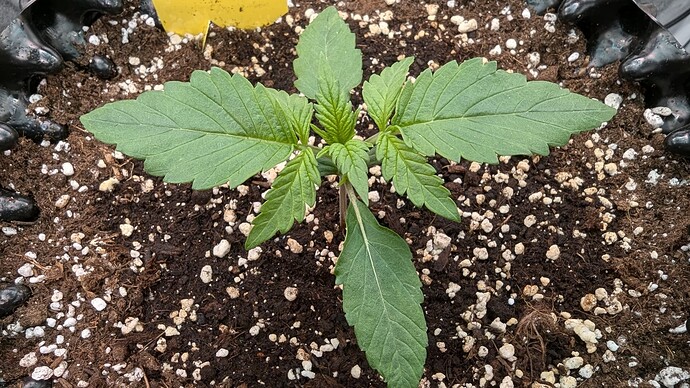 PXL_20240708_152854876.MP