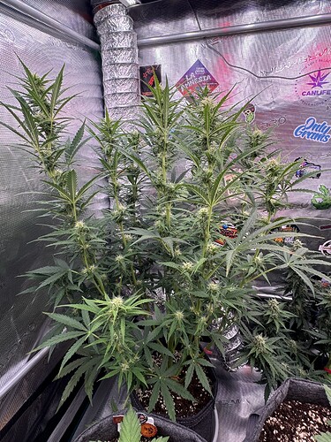 Growreport Bild 12