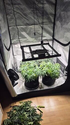 Growreport Bild 1
