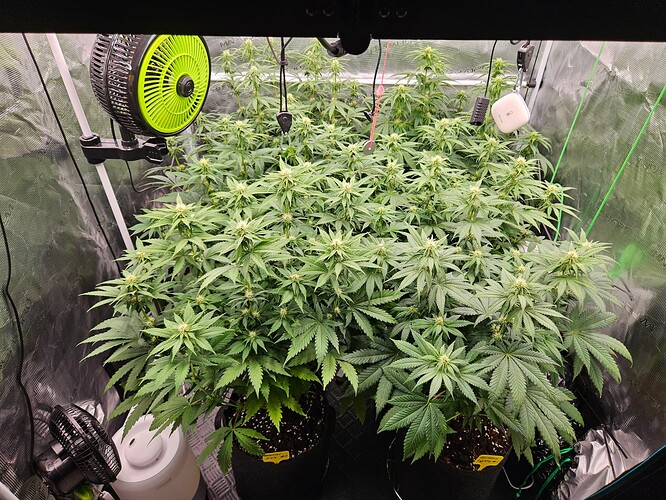 Growreport Bild 10