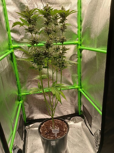 Growreport Bild 11