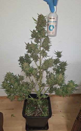 Growreport Bild 10