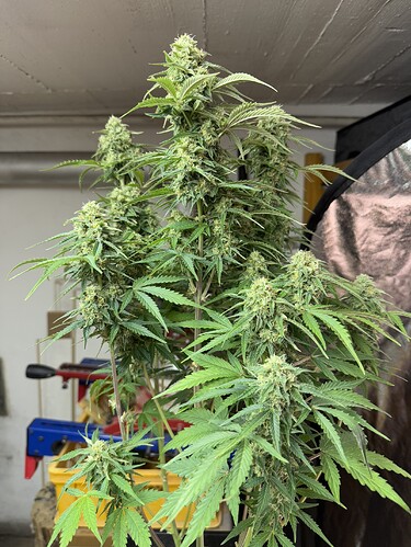 Growreport Bild 10