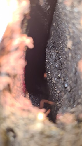 Growreport Bild 2