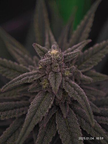 Growreport Bild 21