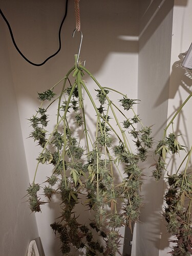 Growreport Bild 12