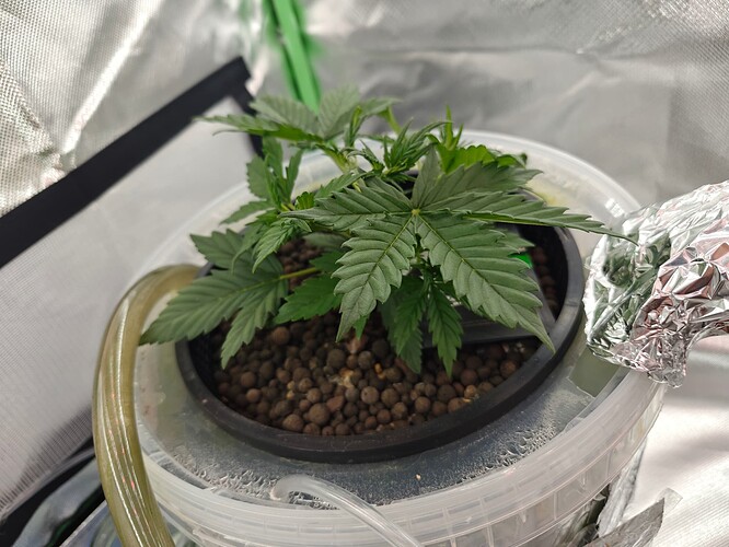 Growreport Bild 6