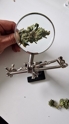 Growreport Bild 13