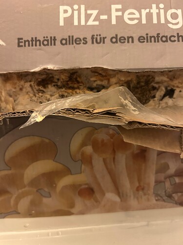 Growreport Bild 57