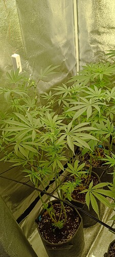 Growreport Bild 11