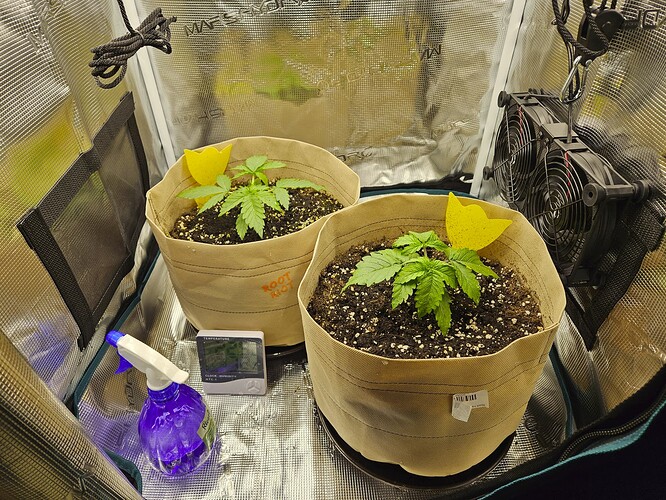 Growreport Bild 23