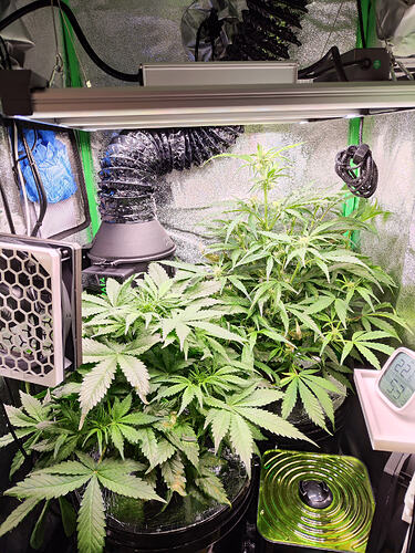 Growreport Bild 2