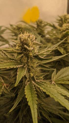 Growreport Bild 2