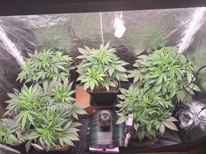 Growreport Bild 9