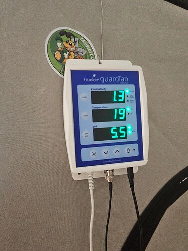Growreport Bild 6