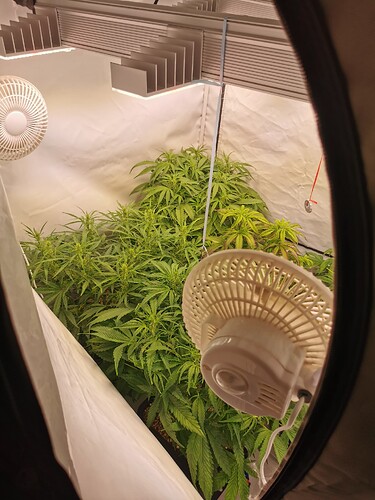Growreport Bild 8