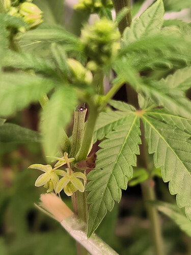 Growreport Bild 7