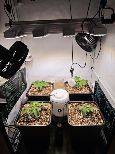 Growreport Bild 32