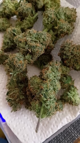 Growreport Bild 3