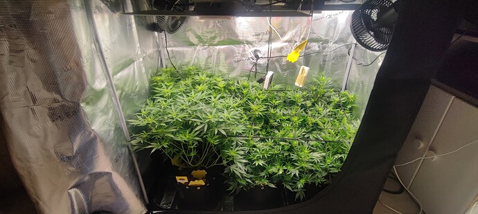 Growreport Bild 6