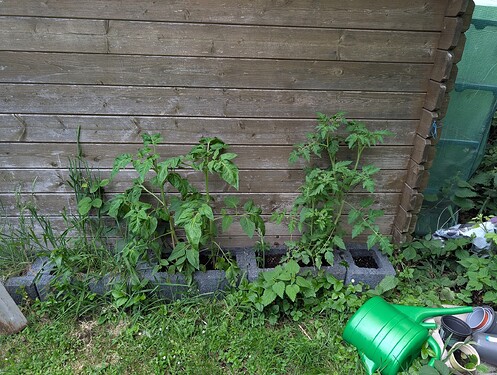 PXL_20250609_170717784.MP