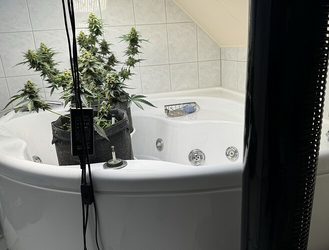 Growreport Bild 39