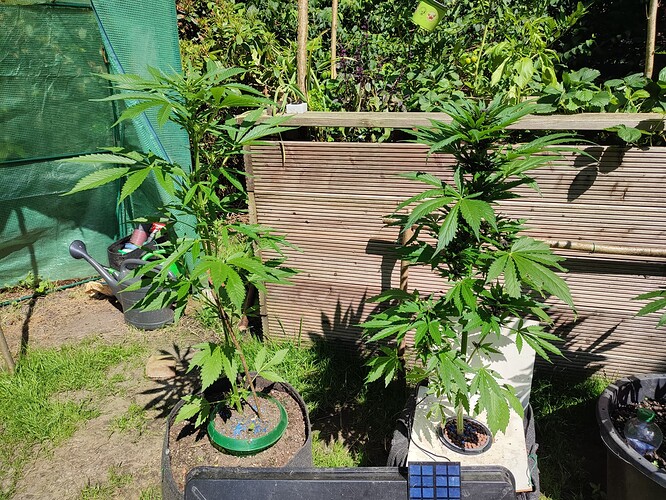 Growreport Bild 13