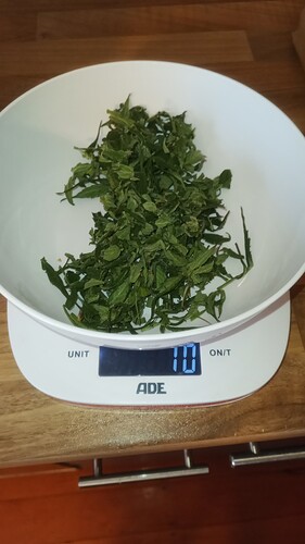 Growreport Bild 11