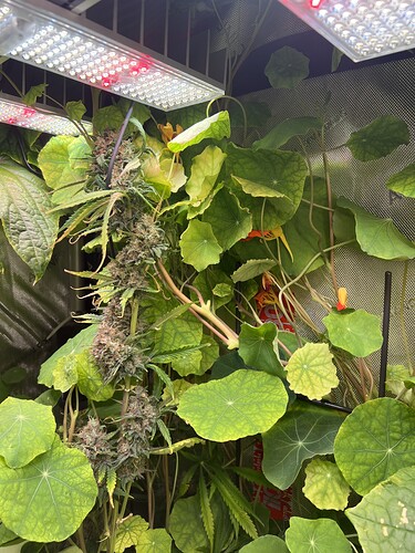 Growreport Bild 20