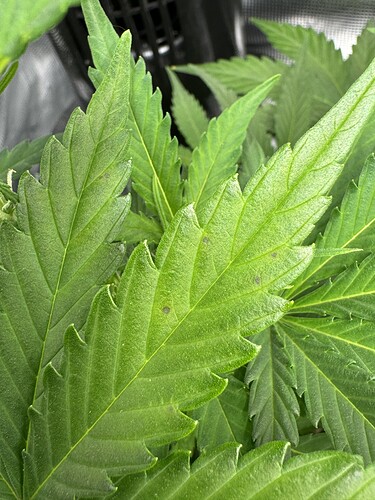 Growreport Bild 23