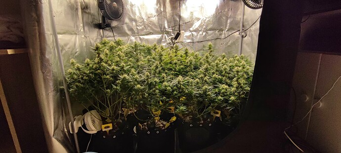 Growreport Bild 1
