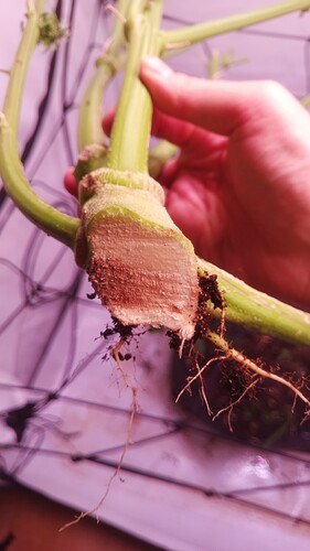 Growreport Bild 12