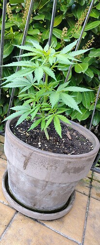 IMG_20250427_104624821_HDR_AE