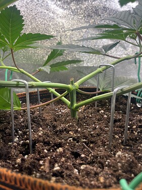 Growreport Bild 26