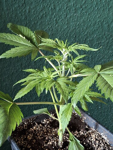 Growreport Bild 18