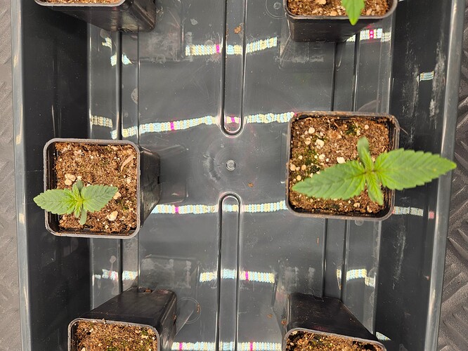 Growreport Bild 11